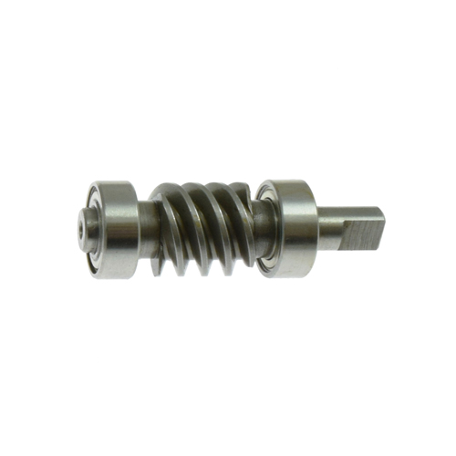 Worm Screw Complete RASOR DS50 # F 5030CPL (Genuine)