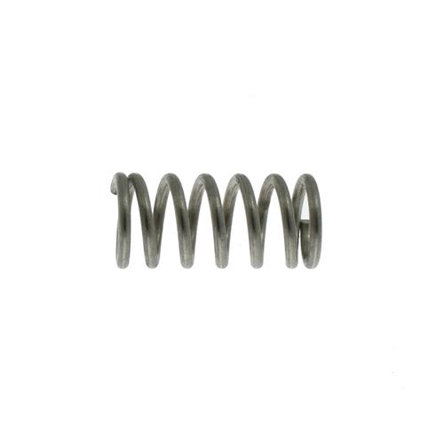 Replacement Spring for Aluminum Water Spray Gun (LECHLER)